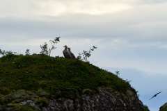 2025-09-04-Silent-Cruise-Trollfjord-073
