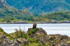 2025-09-04-Silent-Cruise-Trollfjord-075