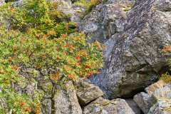 2025-09-06-Haukland-und-Utakleiv-Straende-015