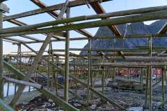 2025-09-06-Reine-009