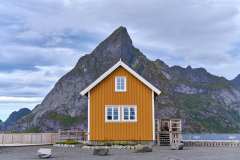 2025-09-07-Reine-003