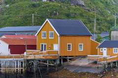 2025-09-07-Reine-010