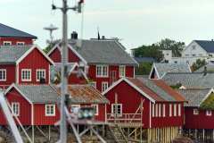 2025-09-07-Reine-016