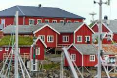 2025-09-07-Reine-017