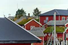 2025-09-07-Reine-018