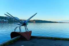 2025-09-08-Harstad-017