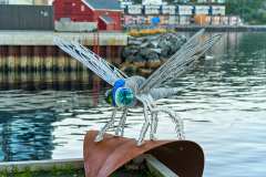 2025-09-08-Harstad-020