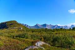 2025-09-10-Skoyteneset-001