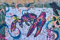 2026-02-21-Abades-006