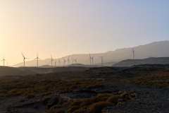 2026-02-22-Abades-008