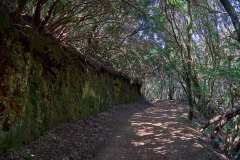 2026-02-22-Anaga-Gebirge-006