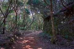 2026-02-22-Anaga-Gebirge-008