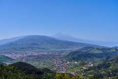 2026-02-22-Anaga-Gebirge-017