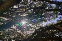 2026-02-22-Anaga-Gebirge-023