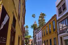 2026-02-22-San-Cristobal-de-La-Laguna-001