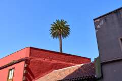 2026-02-22-San-Cristobal-de-La-Laguna-009