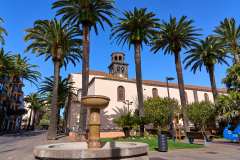 2026-02-22-San-Cristobal-de-La-Laguna-012