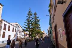 2026-02-22-San-Cristobal-de-La-Laguna-017