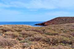 2026-02-23-Abades-004