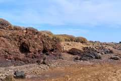 2026-02-23-Abades-009