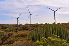 2026-02-23-Abades-013