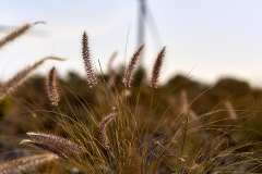 2026-02-23-Abades-023