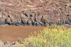 2026-02-23-Abades-024