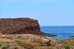 2026-02-23-Abades-031