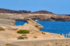 2026-02-23-Abades-042