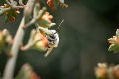 2026-02-23-Abades-Macro-004