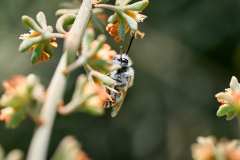 2026-02-23-Abades-Macro-005