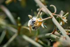 2026-02-23-Abades-Macro-007