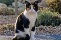 2026-02-24-Abades-002