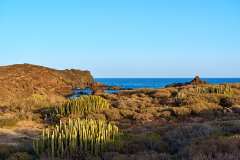 2026-02-24-Abades-014