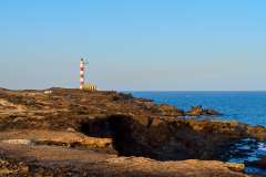 2026-02-24-Abades-021