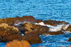 2026-02-24-Abades-029