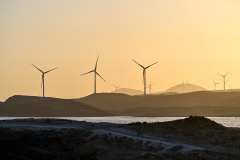 2026-02-24-Abades-031