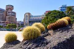 2026-02-24-Santa-Cruz-de-Tenerife-008