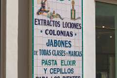 2026-02-24-Santa-Cruz-de-Tenerife-018