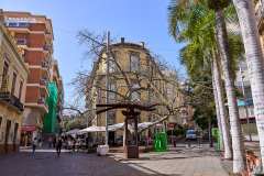 2026-02-24-Santa-Cruz-de-Tenerife-020