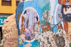 2026-02-25-Puerta-de-la-Cruz-012