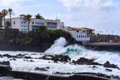 2026-02-25-Puerta-de-la-Cruz-050