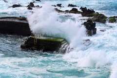 2026-02-25-Puerta-de-la-Cruz-051