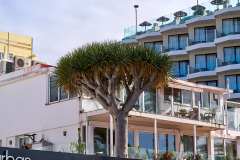 2026-02-25-Puerta-de-la-Cruz-060