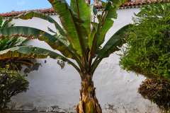 2026-02-25-Puerta-de-la-Cruz-063