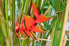 2026-02-25-Puerta-de-la-Cruz-064