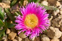 2026-02-27-Abades-001