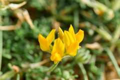 2026-02-27-Abades-004