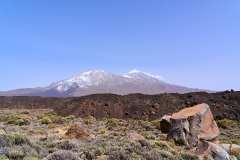 2026-02-27-Teide-NP-026
