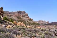 2026-02-27-Teide-NP-028